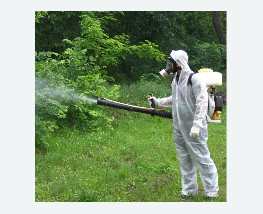 обработка территории от клещей в Дальнегорске