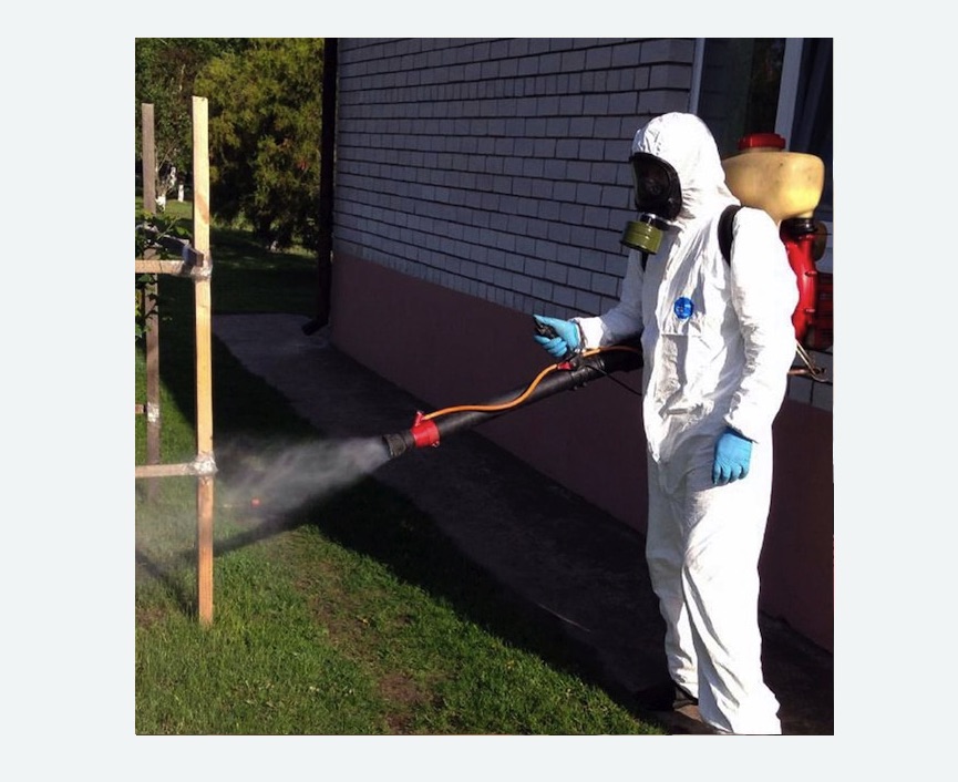 травля клещей на участке в Дальнегорске