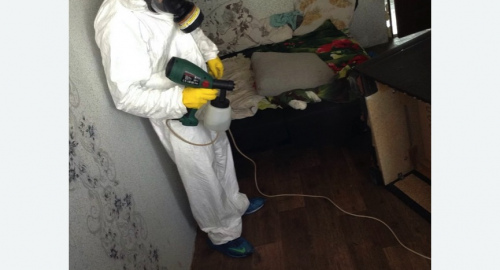 Обработка квартир от насекомых в Дальнегорске