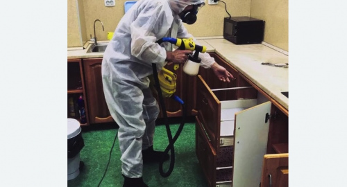Дезинсекция квартиры. Дальнегорск