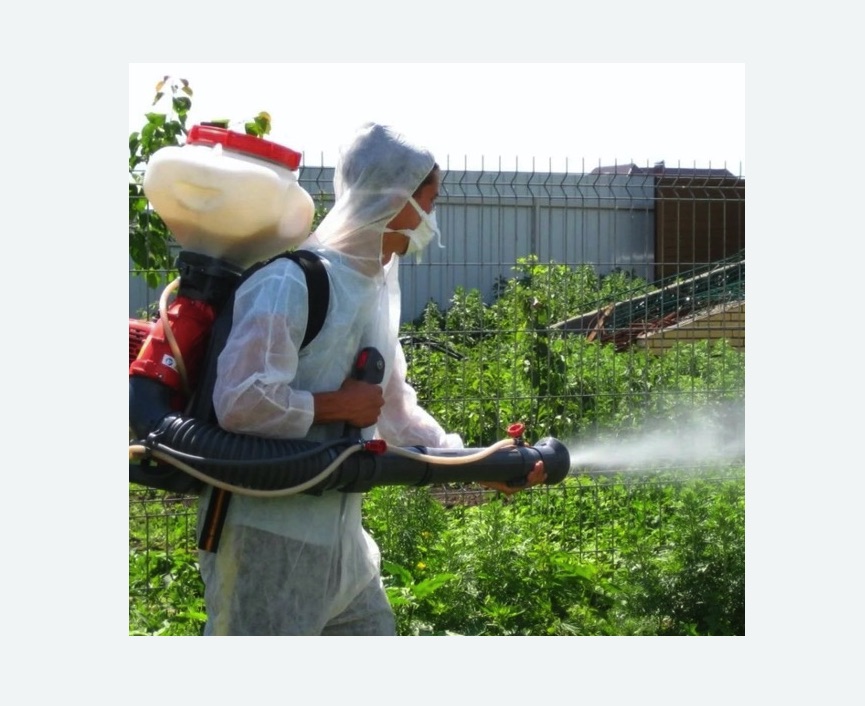 Акарицидная обработка территории в Дальнегорске