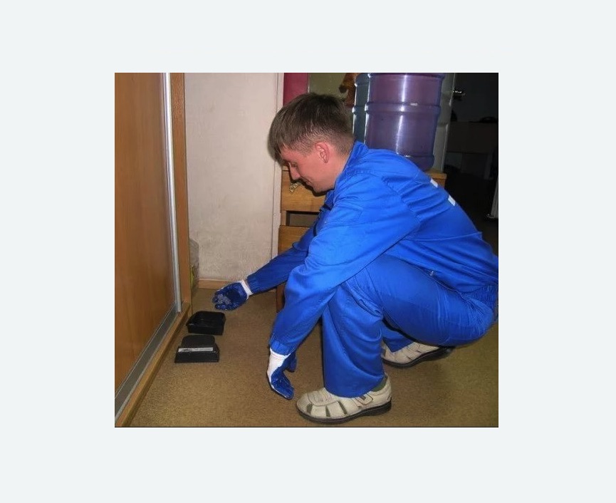 Дератизация крыс в Дальнегорске