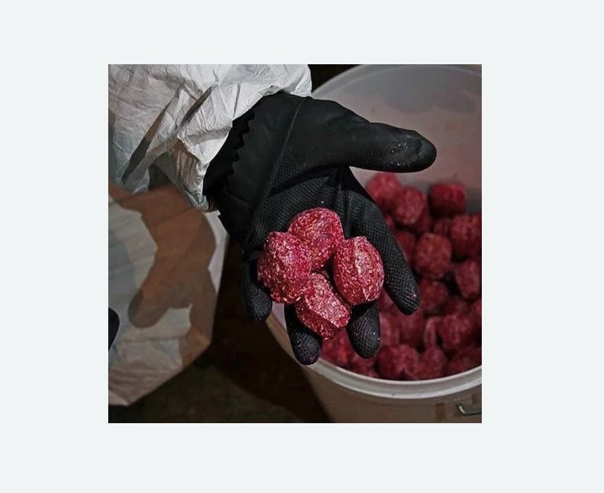 Обработка от крыс в Дальнегорске