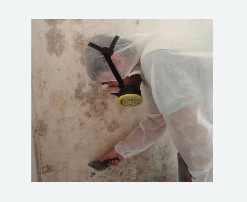 Обработка стен от плесени в Дальнегорске