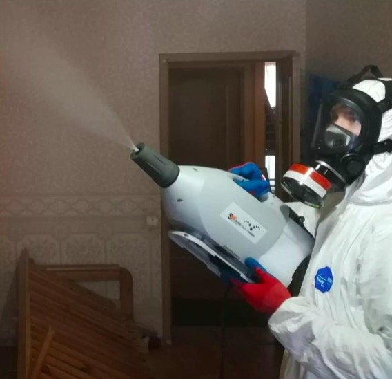 дезинсекция помещения в Дальнегорске