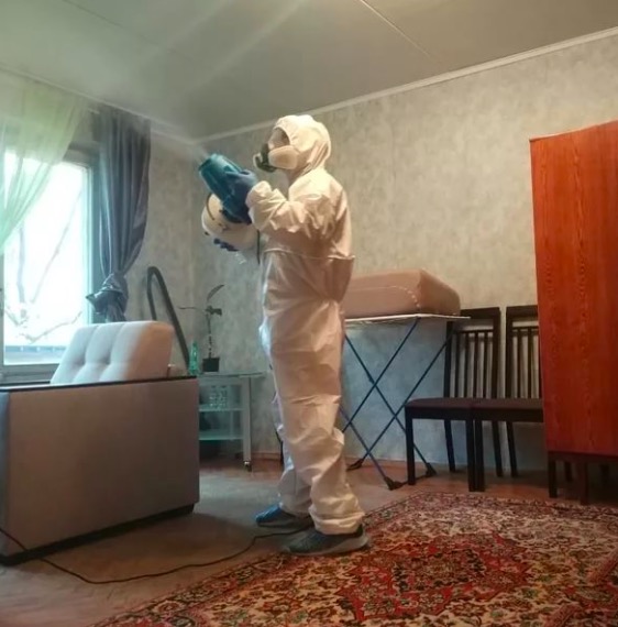 дезинсекция квартиры в Дальнегорске