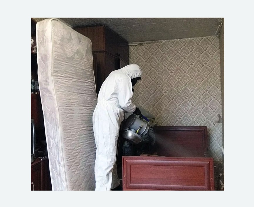 дезинфекция от клопов в Дальнегорске