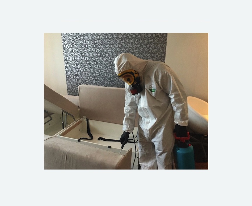 уничтожение клопов в квартире в Дальнегорске