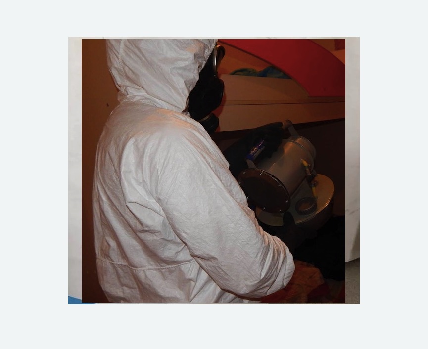 Дезинфекция от муравьев в Дальнегорске